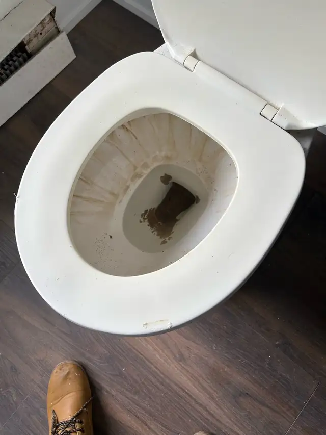 Cleaning Services586915534865715204