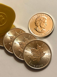 1 oz Canada 9999 Fine Silver Maple Leaf $5 Coins / Random Dates