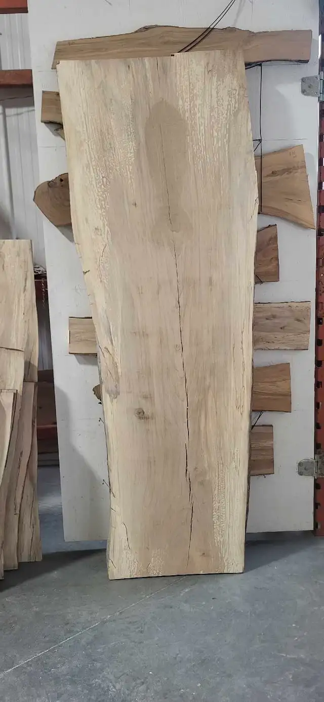 Huge live edge slabs in Other in Winnipeg - Image 3