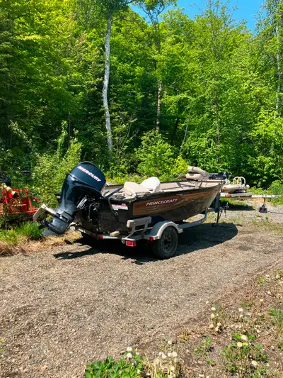 Matching trailer, power trim, 50 hp 4 stroke mercury, live well, trolling motor, auto and manual bil...