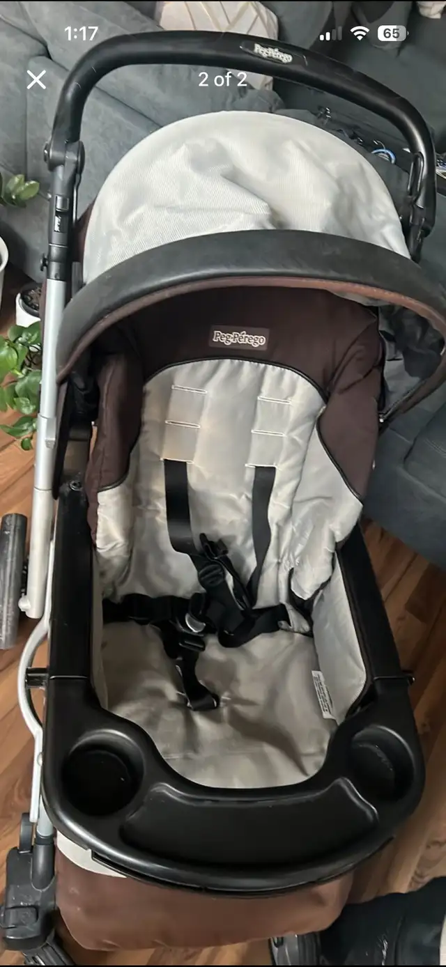 Stroller 410344476871249920