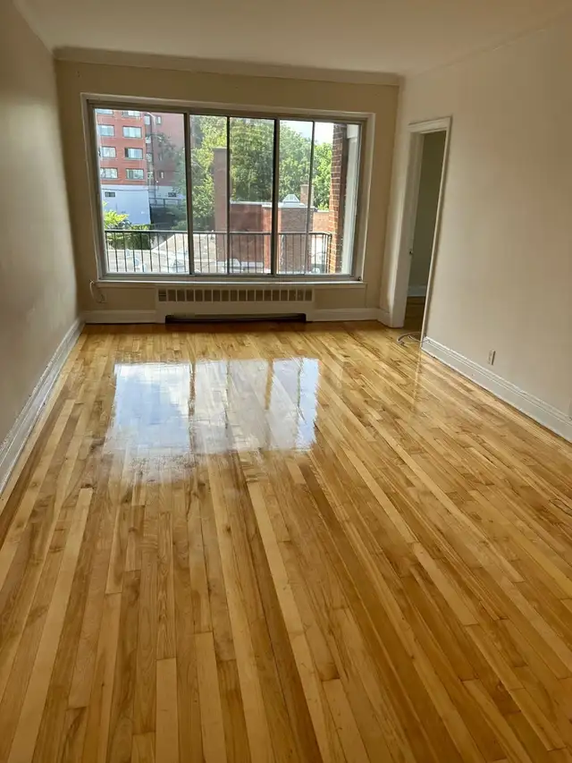 3495 av Ridgewood, Beautiful 2 bedroom apartment!63838172675459120