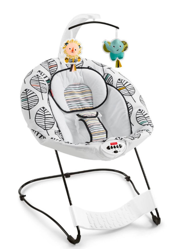Fisher-Price See & Soothe Deluxe Bouncer in Playpens, Swings & Saucers in Ottawa