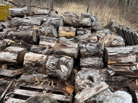 Free firewood  PENDING PICK UP