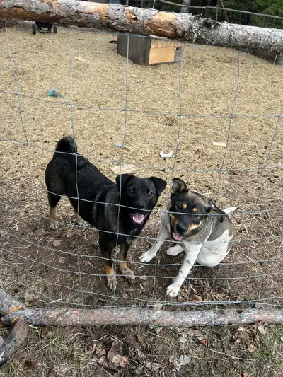 LOCATED OUTSIDE WINFIELD I have tried to change the location but it will not save. I AM NOT IN EDMON...