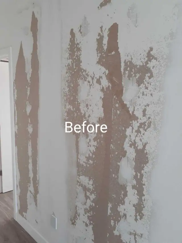 Painting & Plastering552934894921338882