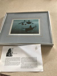 BRUCE MUIR " BLACKFISH" PRINT