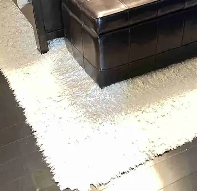 Cream coloured custom area carpet originally purchased from Urban barn for 1500.00 Very well made! V...