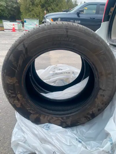 Used one season (2) tires