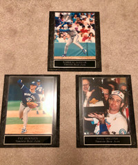 Toronto Blue Jays 1992 World Series Pictures