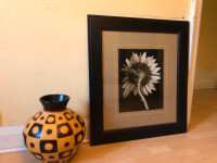 Wall Art - Framed Sunflower