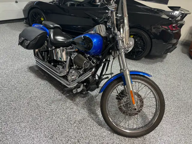2008 Softail Custom  in Street, Cruisers & Choppers in Edmonton - Image 3