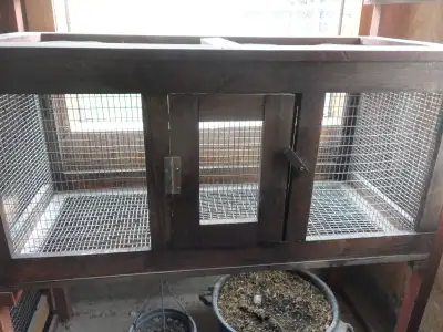Secure pet enclosures for sale, View more
