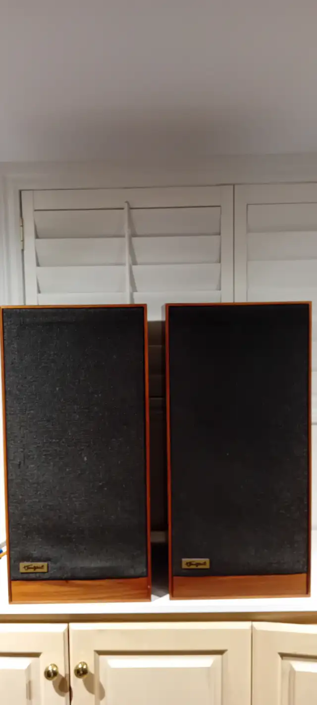 Tangent RS4 speakers in Speakers in City of Toronto - Image 4
