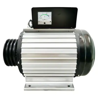 Promotion 220V Brushless Variable Frequency Generator 056860, View more