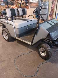Custom golf cart !