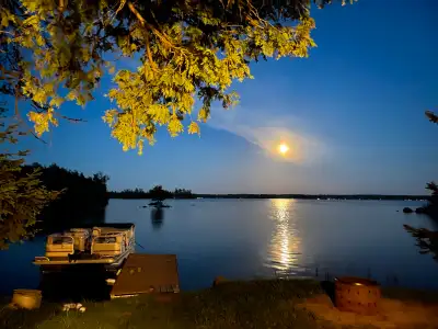 Lakefront Kawartha Cabin Private: dock, fire pit, bbq, and parking. Exceptional fihing, boating & sw...