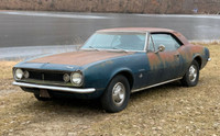 Looking for (ISO) 1967 Chevrolet Camaro