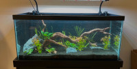 40 gallon aquarium tank and siphon obo
