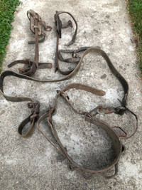 Vintage 1959 Bell System pole spikes, safety harness & bag