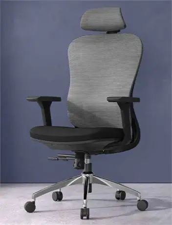RiseDesk Ergonomic Mesh Office Chair, Black, View more