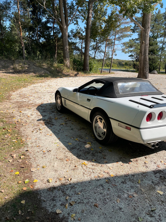 1989 Corvette Convertible  in Cars & Trucks in Barrie - Image 2