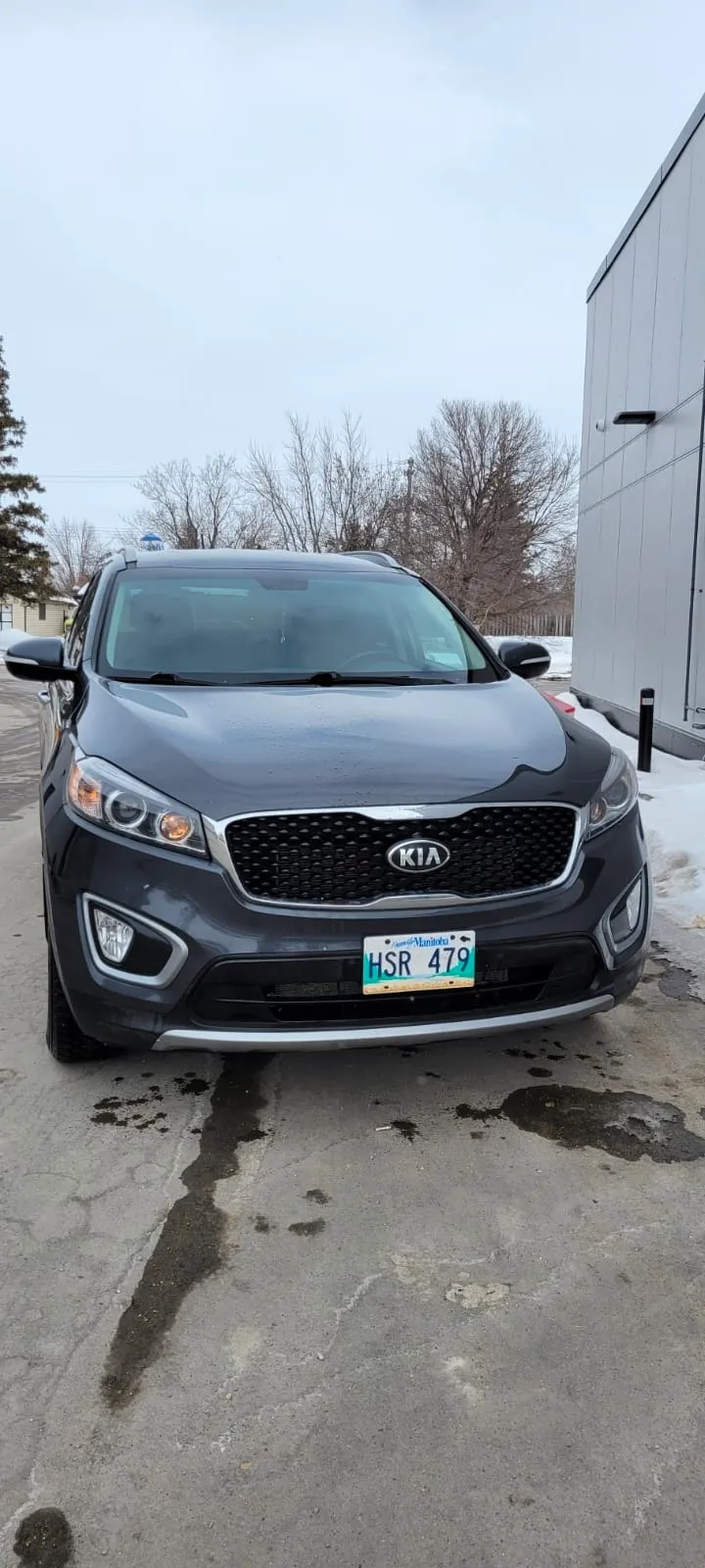 2016 kia sorento SAFETIED