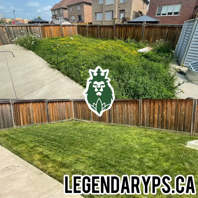 Grass Cutting Starting as low as $40 Weekly62865710227201124