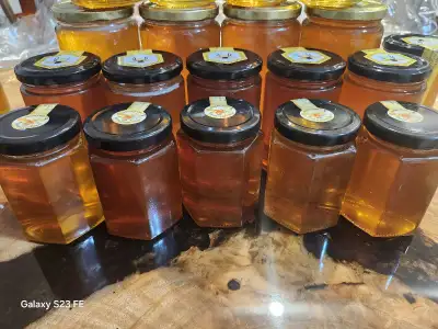 We have goldenrod, summer and buckwheat honey in 370g-8$ ,500g-12$ ,620g-14$, 1kg-23$,1,3kg -30$ jar...