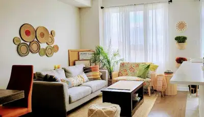 One Bedroom available for 2-3 Months Rent in Orleans