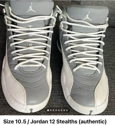 Jordan 12 Stealth, View more