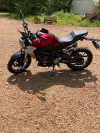 Moto Honda CB 300 R 2019