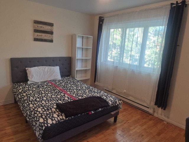 chambre colocation Montréal — photo 3