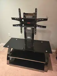 Z-Line TV Stand and Mount