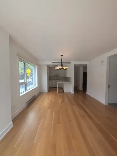 Situé au rez-de-chaussée d'une construction 2017, ce grand 4 ½ de 1000 pieds carrés se distingue par...