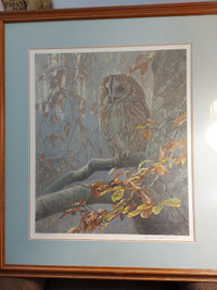 Art by Robert Bateman Tawny Owl