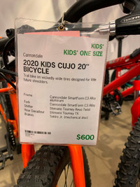 Cannondale CUJO 20” Kid Bike