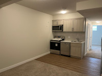 Newly built 2 bedroom legal basement suite in Cornerbrook