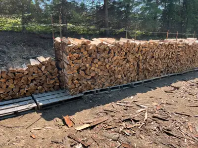 Firewood 2 years old. A mix of ash, maple, birch. Note these are not cut in perfect lengths. What yo...