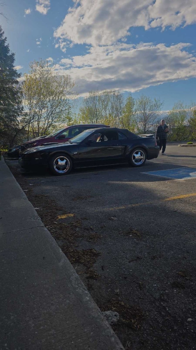 Mustang gt 2000 — photo 5
