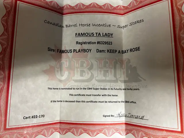 2yr old Dash Ta Fame Barrel Futurity Prospect  in Horses & Ponies for Rehoming in St. Albert - Image 9