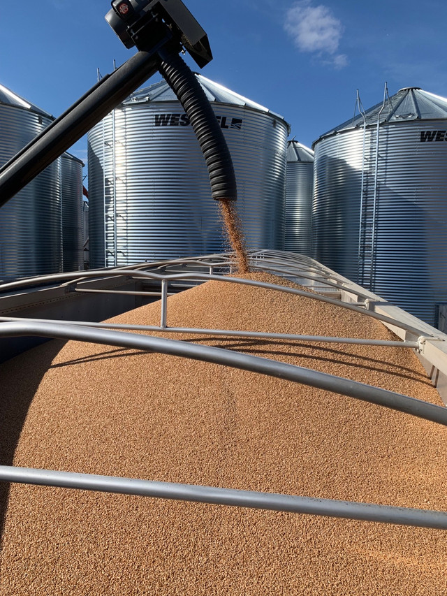 Mobile Grain Cleaning  in Farming Equipment in Regina - Image 4