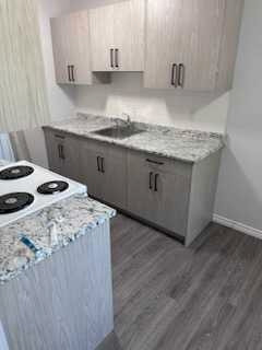 ****3 BEDROOM BEAUTIFUL RENOVATED TOWNHOUSE FOR RENT*** in Long Term Rentals in Belleville - Image 2