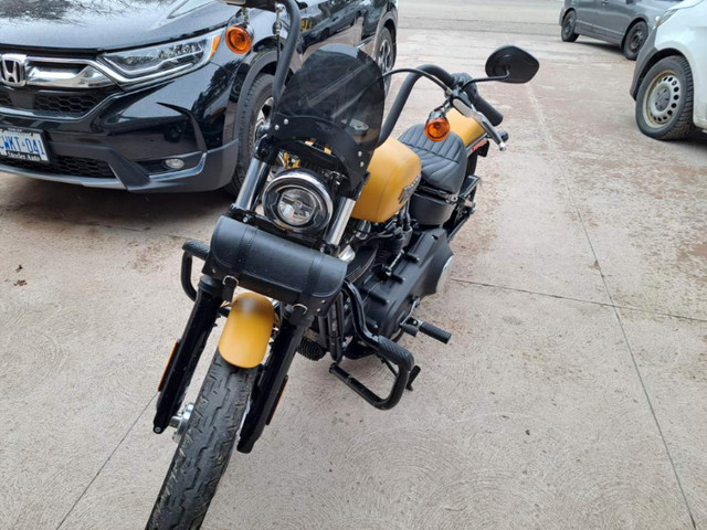 Harley Davidson motorcycle : Streetbob FXBB in Street, Cruisers & Choppers in Markham / York Region - Image 2
