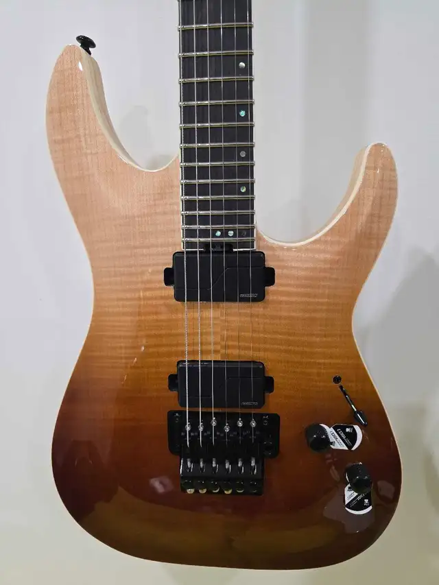 Schecter C-1 SLS Elite FR AFB electric guitar in Guitars in Markham / York Region - Image 4