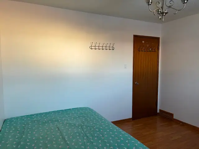 Master bedroom for rent from Nov 1, about 3 bus stops to College in Room Rentals & Roommates in Thunder Bay - Image 3