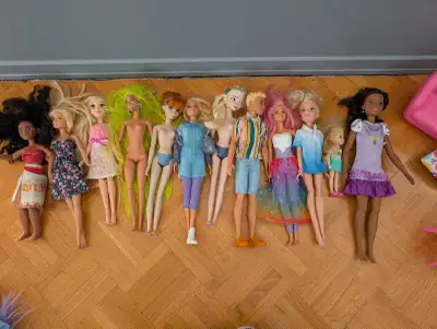 Lot de Barbie, (Barbie, Reine des Neiges, Cendrillon, Moana, Ken, Chelsea) Plusieurs accessoires et...
