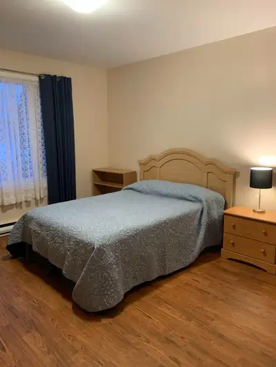 Grande chambre à louer dans une très grande maison autonome. Recherchons étudiante universitaire ou...