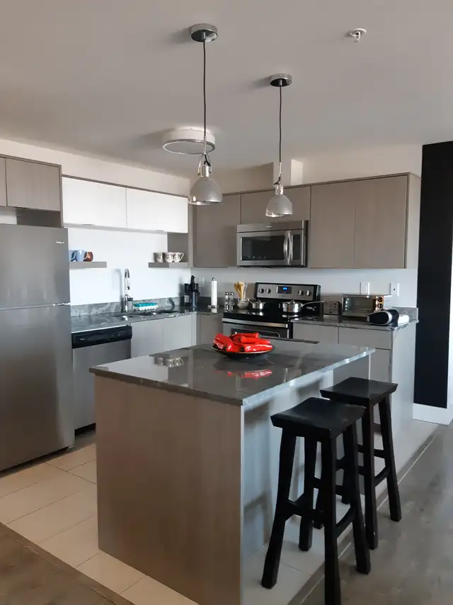 2BDRM2BATH FURNISHED MONTHLY LUXURY