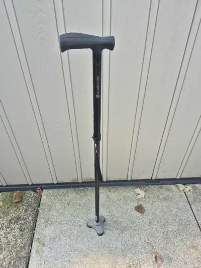 walking cane, View more